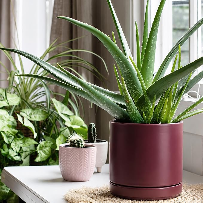 D'vine Dev 8 Inch Ceramic Planter Pot with Drainage Hole and Saucer, Indoor Cylinder Round Planter Pot, Cordovan, 94-O-D-4
