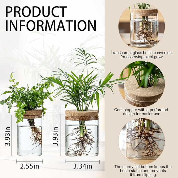 Plant Propagation Stations for Plants, 2 Size Glass Propagation Vases for Propagating Hydroponic Indoor Home Office Decor, Tabletop Glass Planter Gift for Plant Lovers (8)