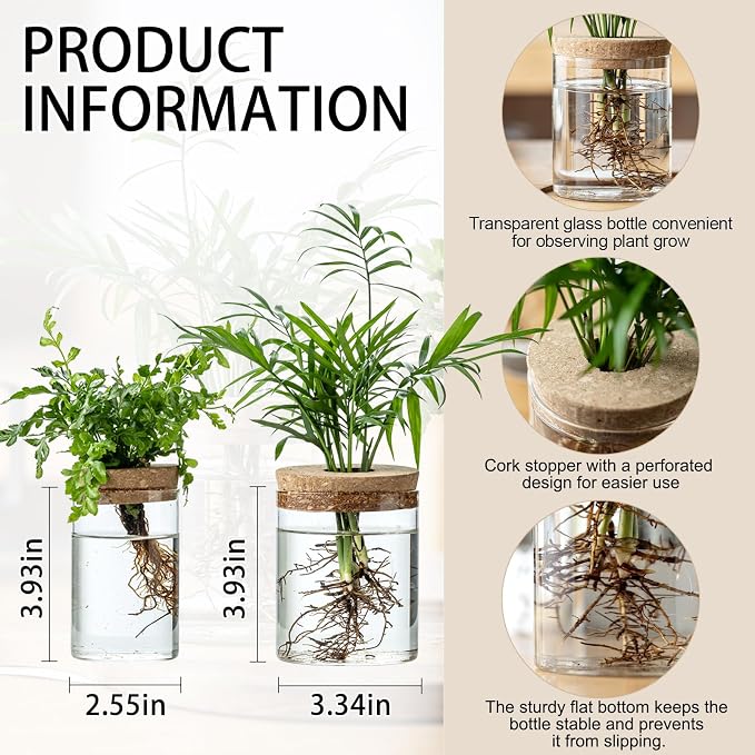 Plant Propagation Stations for Plants, 2 Size Glass Propagation Vases for Propagating Hydroponic Indoor Home Office Decor, Tabletop Glass Planter Gift for Plant Lovers (4)