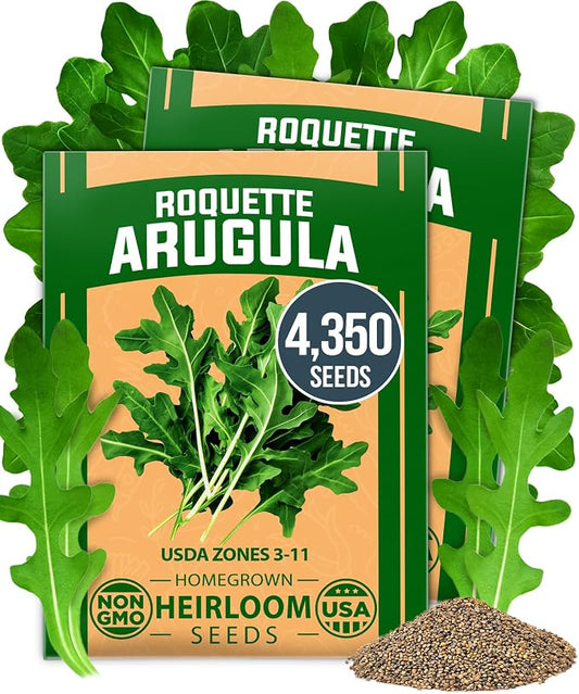 HOME GROWN Arugula Roquette Seeds 4350+ Bulk Pack Heirloom Non-GMO, High Germination, Peppery Salad Greens, Indoor Outdoor Hydroponic Garden, Microgreens, Year-Round Harvest (Eruca vesicaria)