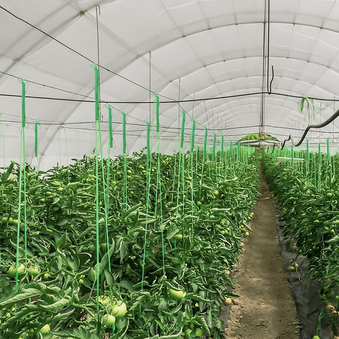 60Pcs Tomato Hooks with String with 33.3ft Twine & Tomato Clips, Tomato Holder Hooks to Prevent Tomatoes from Pinching or Falling Off（Green）