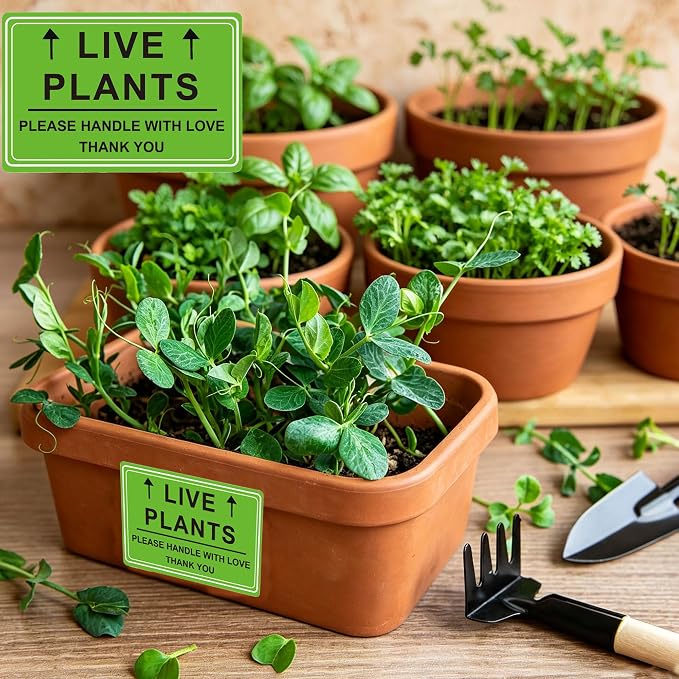Green Live Plants Stickers for Shipping 2x3 inch Please Handle with Love Stickers Fragile Shipping Labels for Warehouse Pallet Garden Centers,Landscaping,Nurseries 250pcs Live Plants Sticker per roll