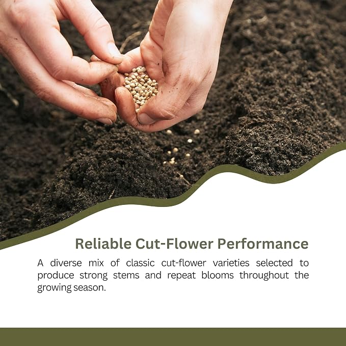 Cut Flower Garden Seed Mix – 15,000+ Seeds – 1 oz Extra Large Packet – Non-GMO Flower Seeds – Zinnia, Cosmos, Larkspur, Calendula, Bishop’s Flower & More for Bouquets & Cutting Gardens