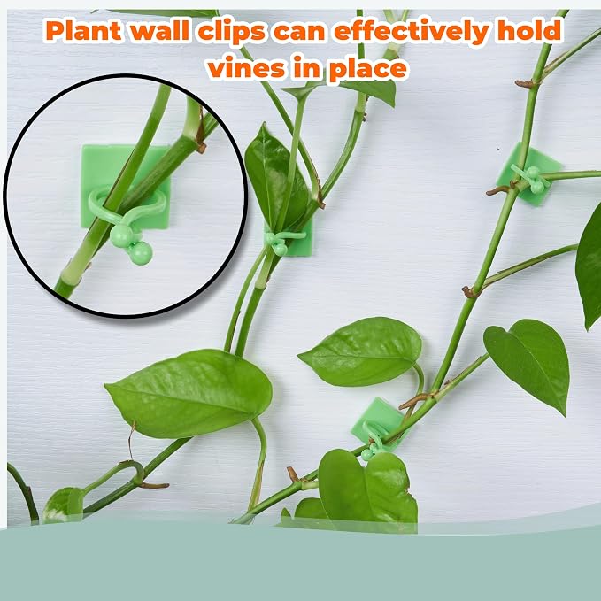 30/60/100PCS Plant Climbing Wall Fixture Clips,Invisible Wall Plant Vines Fixing Clips,Self-Adhesive Vine Support Holder for Climbing Plants. (60, Green V-Shaped)