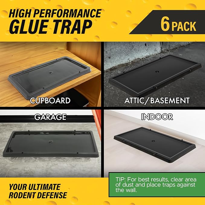 TRATPER Glue Traps for Mice,Rat,Mouse,Snake,Lizard,Insect. 6 Pack. Extra Strength,Pre-Baited Adhesive.Heavy Duty Plastic Tray.Non-Toxic,Chemical-Free Pest Control for Home. 6Pack