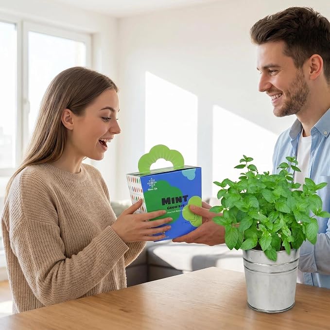 Mint Grow Kit, All-in-One Indoor Herb Garden Kit with Planter, Soil & Seeds, Easy DIY Planting Kit for Kitchen, Grow Your Own Fresh Mint for Tea & Drinks, Beginner Friendly Gardening Gift