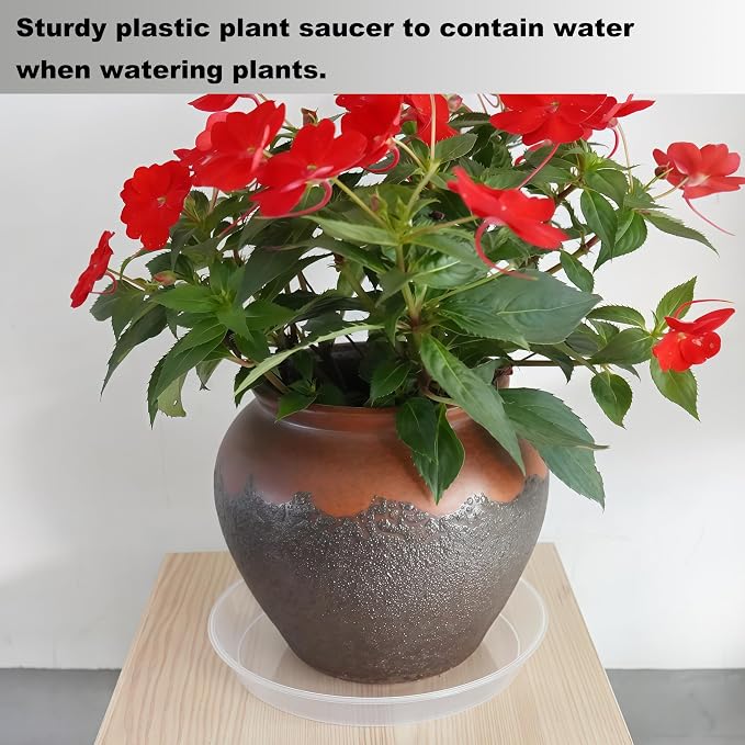 LWALRS Plant Saucer Tray 10 inch, 6 Pack Plastic Plant Saucers for Indoors Outdoor, Heavy Duty Drainage Drip Water Trays for Planter Pots Flower, Flower Saucers for Pots Base (10", Clear)