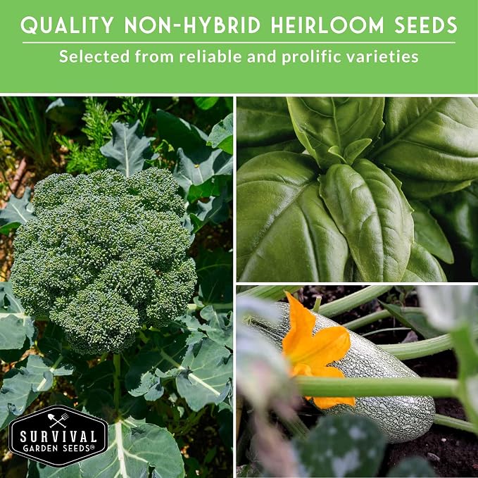 12 Vegetable Seed Variety Pack for Planting - Heirloom Broccoli, Carrot, Basil, Lettuce, Onion, Pepper, Swiss Chard, Tomato, Cucumber, Spinach, Zucchini, Spaghetti Squash - Survival Garden Seeds