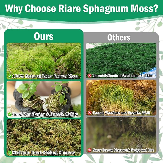 Riare 2.8LBS Premium Sphagnum Moss for Plants- 55QT Natural Dried Plant Moss for Potted Plants, Orchid Moss for Repotting, Soft Green Decorative Moss for Succulents, Reptiles & DIY Crafts