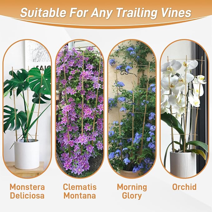 10 Pack 3ft Bamboo Trellis for Climbing Plants - Fan-Shaped Support Trellis for Potted Plant Decor in Door