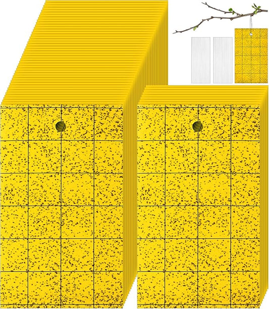 Qualirey 100 Sticky Trap for Gnats 3 x 5'' Dual Side Sticky Fruit Fly Trap with Tie Plant for Flying Insect Fungus Bugs Flying Catcher for Indoor (Yellow)