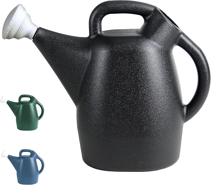 Chapin 47998 Watering Can, 2 Gallon, Indoor and Outdoor Plants, Lawn, Garden, Removable Nozzle, Drip-Free Sprinkler Head, Recycled Plastic, Black