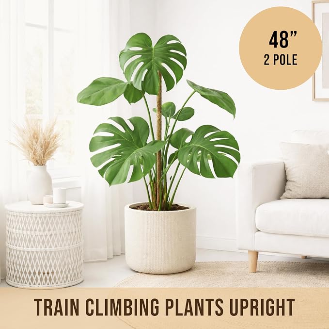 Craft911 Moss Pole Monstera Plant Support – 2 Pack 48” Bendable Moss Pole Monstera Plant Support, Plant Stakes for Indoor Plants, Tall Plant Sticks Support for Climbing Plants