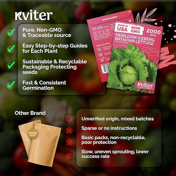 KVITER 2000 Iceberg Batavian Lettuce Seeds (Lactuca Sativa) - Iceberg Lettuce, Crisp Head, Sweet Crunch, Heirloom Seed Packets - Vegetable Seeds for Outdoors, Raised Beds, Home Garden