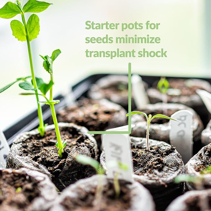 Jiffy Peat Soil Pellets Seed Starter Plugs, 36 mm, 200 Count | For Indoor Planting, Seedlings