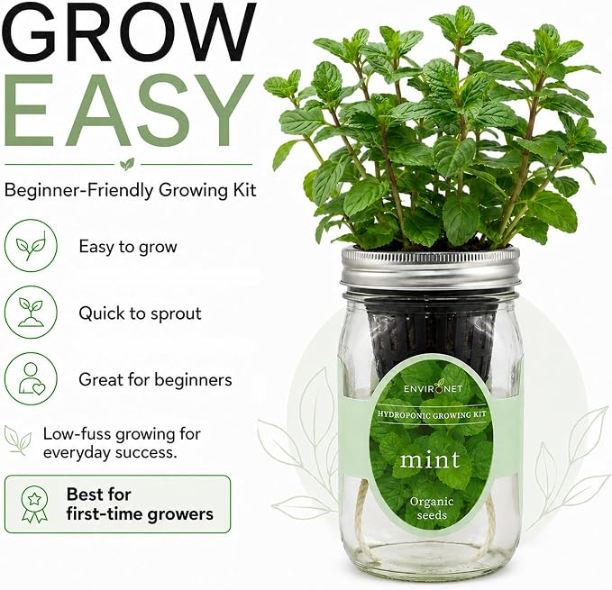 Hydroponic Herb Growing Kit, Self-Watering Mason Jar Herb Garden Starter Kit Indoor, Window Herbs Garden, Grow Your Own Herbs from Organic Seeds (Mint)