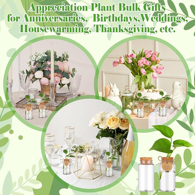 36 Packs Plant Propagation Stations with Hole Lid Clear Plastic Cultivation Bottles Tabletop Hydroponic Containers with Thank You Tags for Home Gardening Office Desktop Decoration