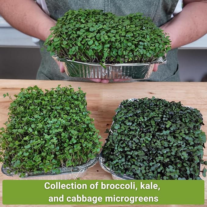 Sow Right Seeds - Superfood Microgreen Seed Mix for Growing - Instructions to Quickly Sprout Your Own Healthy Microgreens - Plant indoors with no special equipment - Non-GMO Seeds for Sprouting