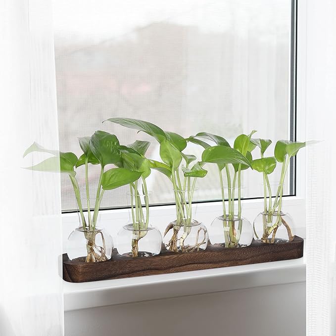 YIBOT Propagation Vases for Plants Terrarium with Wooden Tray,5 Glass Vases | Tabletop Plant Terrarium for Propagating Hydroponic, Retro Glass Planter Flower Vase Home Kitchen Office Decor Gifts