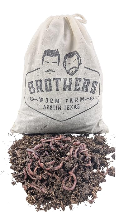 1/4 LB (~250) Red Wiggler Composting Worm Blend. Best Species for Composting, Gardens, Bins and Creating Worm Castings at Home.