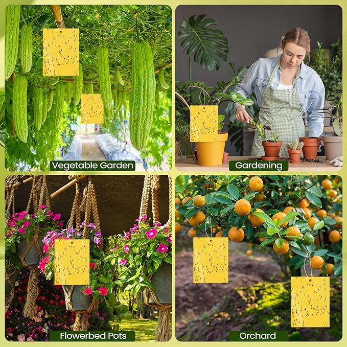 Qualirey 25 Pcs 6x8 Inch Yellow Sticky Traps for Gnats, Dual-Sided Sticky Gnat Traps for Indoor Outdoor Plants, Pest Control for Fungus Gnats, Fruit Flies, Whiteflies with Twist Ties