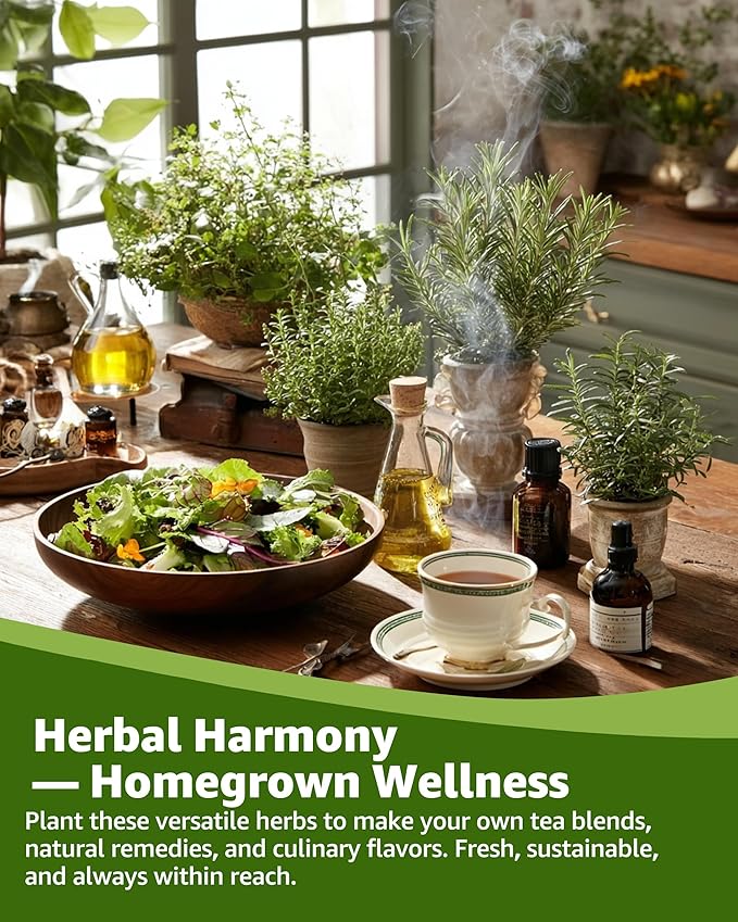 Medicinal Herb Seeds Variety Pack - 36 Non-GMO Herbal Tea Garden Seeds: Chamomile, Lavender, Echinacea, Yarrow, Mugwort for Planting Indoor & Outdoor, Apothecary & Homesteading Supplies