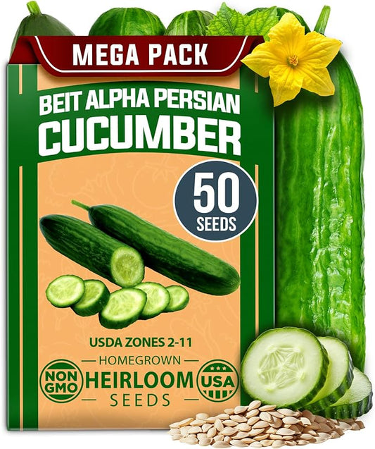 HOME GROWN Persian Cucumber Seeds 50+ Heirloom Non-GMO, Beit Alpha Variety, High Germination, Sweet Thin Skin, Burpless Snacking Cucumbers, Fast Growing, Indoor Outdoor Garden Crop (Cucumis sativus)