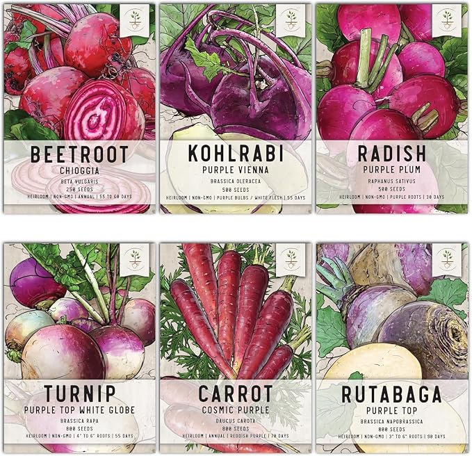 Seed Needs Edible Roots & Bulbs Variety Pack/Seed Collection Contains Rutabaga, Turnips, Beets, Radish & Kohlrabi - Grow a Home Grown Outdoor Vegetable Garden