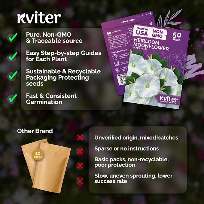 KVITER 50 Moonflower Seeds For Planting (Ipomoea alba) – White Morning Glory Seed Packets, Moon Flowers – Heirloom Vine White Flower Seeds Climbing Plants For Containers Indoor & Outdoor Flower Garden