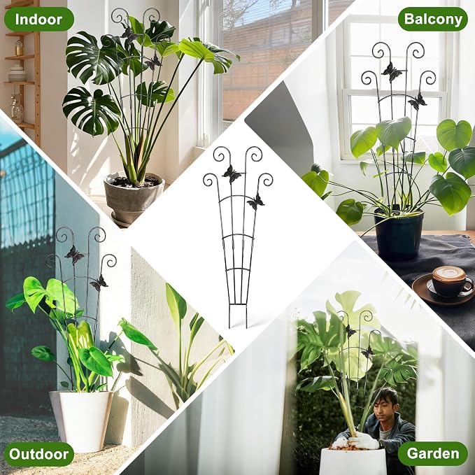 COOMIN 30'' Monstera Plant Support Outdoor, Metal Expandable Plant Supports for Indoor Plants, Garden Monstera Trellis for Climbing Plants Indoor, 4pcs