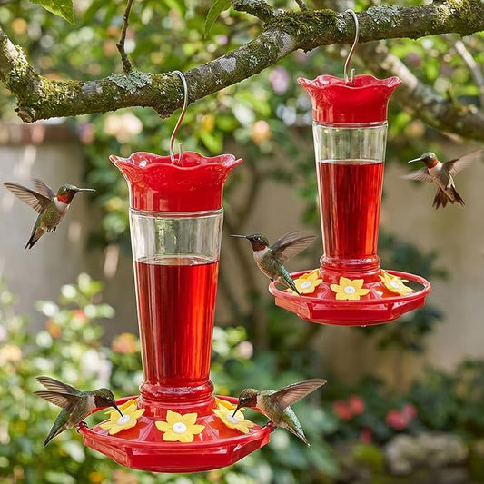 Gbekery Glass Hummingbird Feeders for Outdoors Hanging Ant and Bee Proof Clear 10 OZ 2 Pack Bird Feeders for Outside Hanging 6 Feeding Stations Bird Nectar Feeder for Garden Yard Décor Gifts for Mom