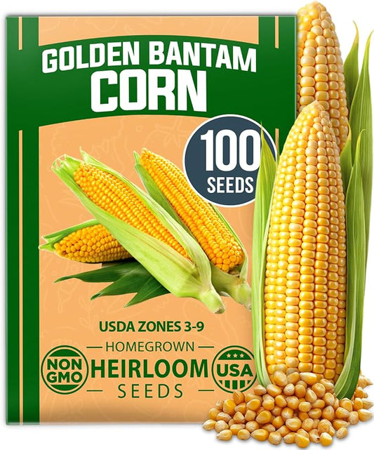 HOME GROWN Golden Bantam Sweet Corn Seeds 100+ Heirloom Non-GMO Seeds for Planting, High Germination, Yellow Kernel Corn on the Cob, Early Summer Harvest, Easy to Grow Home Garden Crop (Zea mays)