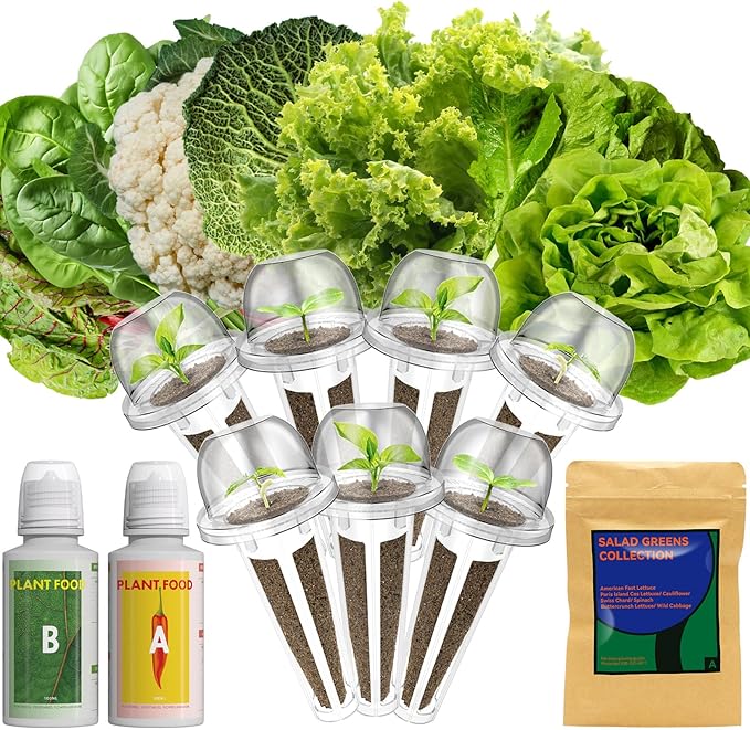 Lyko Heirloom Salad Greens Seed Pod Kit for AeroGarden, iDoo, Ahopegarden, GARDENCUBE, 7 Pods with American Fast/Paris Island/Buttercrunch Lettuce, Spinach, Swiss Chard, Cauliflower, Wild Cabbage