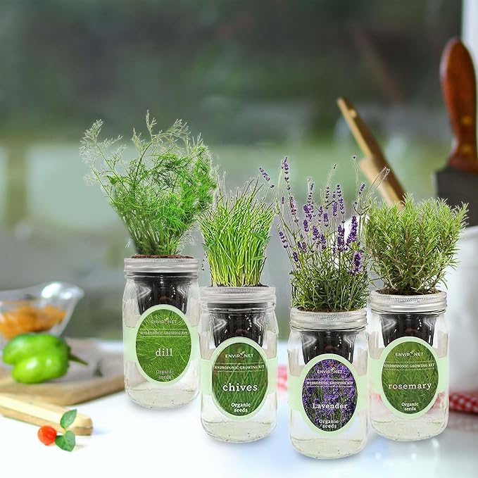 Rosemary, Lavender, Dill & Chives Mason Jar Herb Garden Kit, Aromatic Savory Herb Collection, 4 Pack Indoor Hydroponic Growing Kit