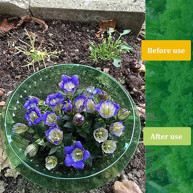 Fshow Garden Cloches，15 Pack Plastic Slug & Snail Plant Protection Collars,Snail Defense Without Chemistry, Snail Collar Protects Plants to Get Better. (Emerald Green)