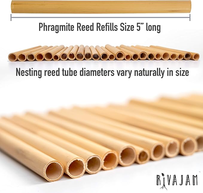 Rivajam 125 Phragmite Reed Mason Bee Tubes | Refill for Bee House, Hotel Nest Box, Solitary Hive & Pollinator Box | Garden Starter Kit & Supplies