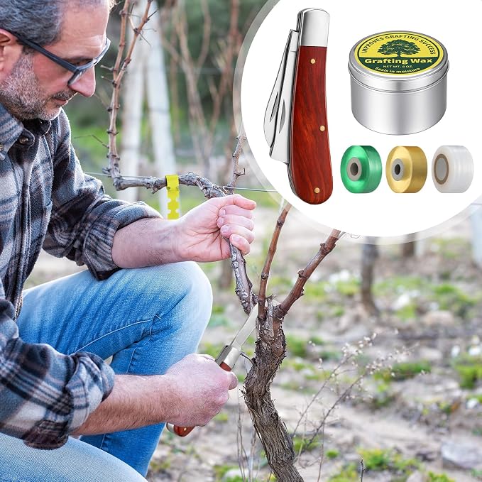 Grafting Kit 8 Oz Grafting Wax 2-5/8" Curved Straight Blades Garden Knife 3 Tape 12 Plant Labels for Successful Floral Fruit Tree