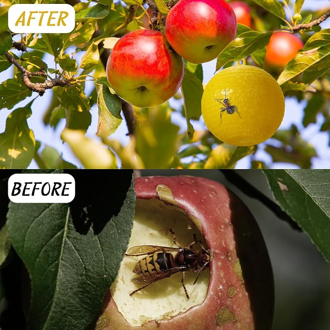 Qualirey 10 Pcs Sticky Fruit Fly Trap Ball Adhesive Fly Catching Ball Sticky Glue Fly Gnat Wasp Hornet Mosquito Bugs Flying Insects Trap Ball Traps (Yellow)