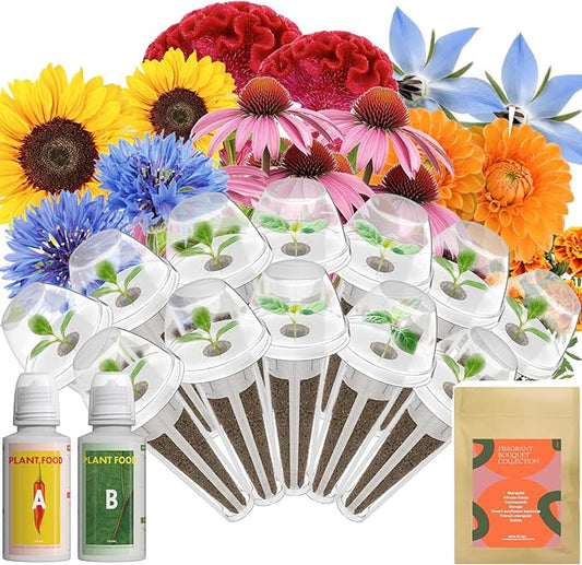 Inbloom Fragrant Bouquet Flower 12 Pods Seed Pod Kit for AeroGarden, iDoo, Ahopegarden, GARDENCUBE(350+ Flower Seeds with Marigold, Daisy, Cockscomb, Borage, Dwarf Sunflower Bambino, Marigold, Dahlia)