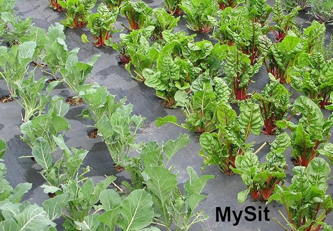 MySit 12" Garden Stakes Pins Landscape Staples 11Ga Tent Stakes 12 Pack, Heavy Duty Galvanized Steel Metal Yard Stakes Ground Lawn Staples Fence Anchors for Weed Barrier Fabric