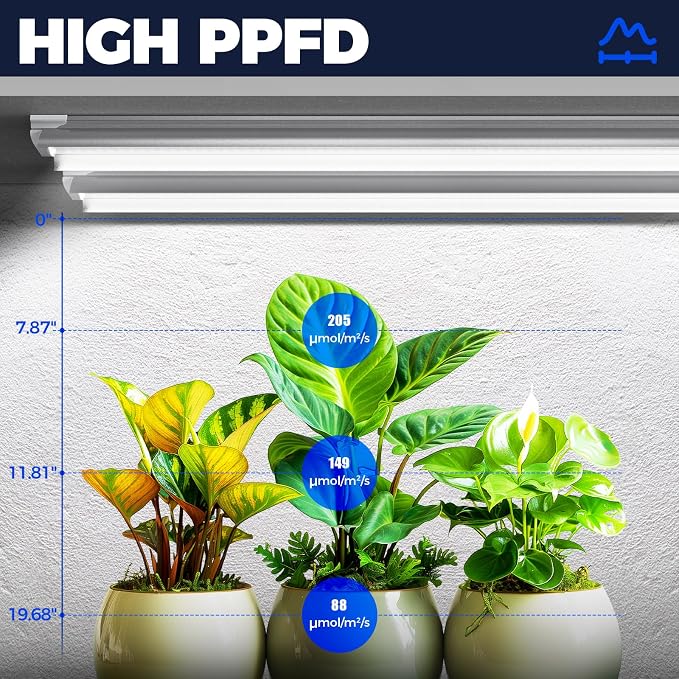 Barrina Grow Lights for Indoor Plants, 3FT 5000K Daylight White Full Spectrum Plant Lights, 180W(6 x 30W, 1000W Equivalent), T8 Grow Light Bulbs, LED Grow Light Strips, Linkable Design, 6-Pack