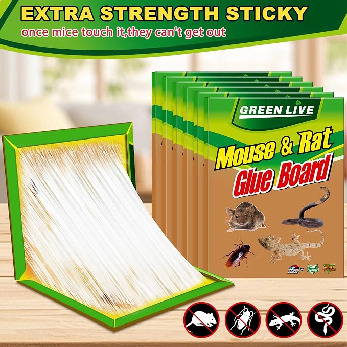 6 Pack Sticky Mouse Traps, Sticky Traps for Rats Mice Rodents Snakes No Touch Indoor Mouse Traps for Home Kitchen Garage Attic Basements, Easy to Set, Green
