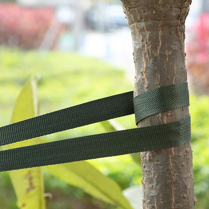 Shappy Tree Tie Strap Garden Webbing Strap Garden Plant Supports Tree Tie Staking and Guying for Outdoor Use, Plant Supports, Grafting, Straightening Supplies(Dark Green,295 Feet x 1 Inch)