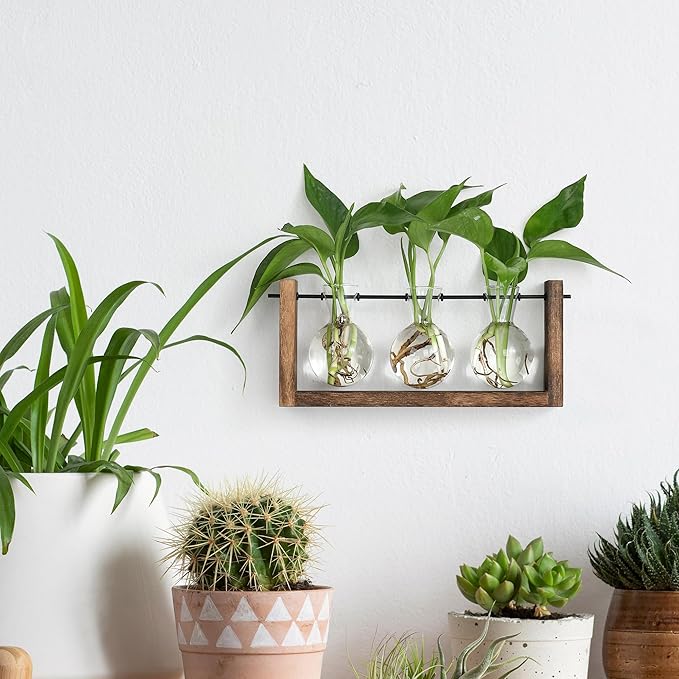 YIBOT Wall Hanging Planter Propagation Station 3 Bulb Glass Flower Vase | Plant Terrarium with Wooden Stand, Hydroponics Plants, Bathroom, Home Office Living Room Decor Gift