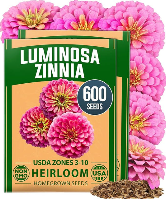 HOME GROWN Pink Zinnia Seeds – 600 Luminosa Zinnias 0.5g, Easy to Grow Annual Flower Seeds for Planting Outdoors for 2026, Fast Blooming, Heat Tolerant Herb Seed Garden Companion (Zinnia elegans)