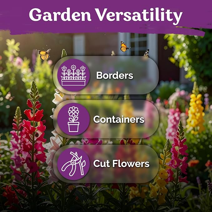 KVITER 1,500 Tetra Mix Snapdragon Seeds (Antirrhinum Majus) – Heirloom & Tall Snap Dragon Mix, Annual Flower Garden Seeds, Cut Flower Seeds for Planting – Ideal for Outdoor Garden & Containers