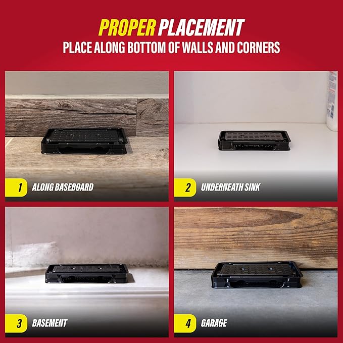 Catchmaster Scorpion Glue Tray Traps 6-Pack, Adhesive Scorpion Killer for Home, Simple Insect Traps Indoor, Sticky Bug Catcher for Kitchen, Garage, & Basement, Pest Control Glue Trap
