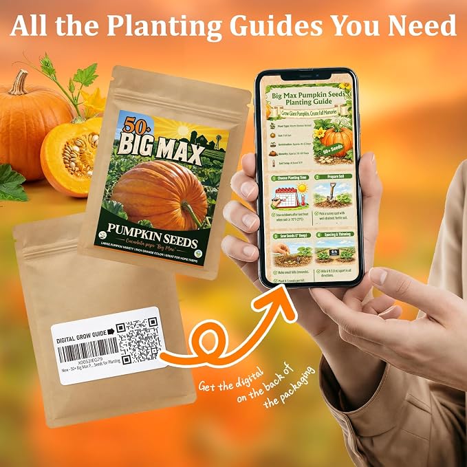 50+ Big Max Pumpkin Seeds for Planting - Giant Pumpkin Seeds, Large Carving Pumpkin Variety for Halloween Jack O Lantern, Fall Display & Garden Growing, Pack Includes QR Code Planting Guide