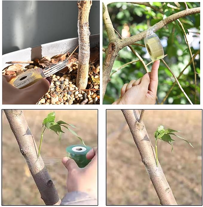 1.2inch Grafting Tape for Floral Fruit Trees Stretchable Garden Grafting Tape Plants Repair Tapes Poly Budding Tape Seedling Graft (3 color-3pack)