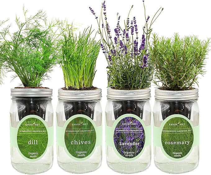 Rosemary, Lavender, Dill & Chives Mason Jar Herb Garden Kit, Aromatic Savory Herb Collection, 4 Pack Indoor Hydroponic Growing Kit